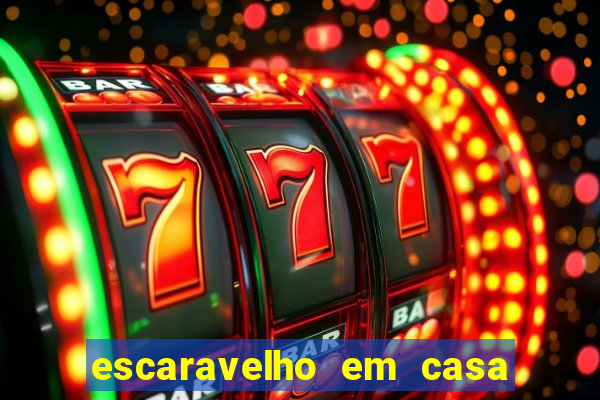 escaravelho em casa significado espiritual
