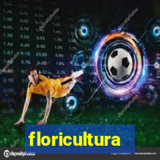 floricultura juazeiro bahia