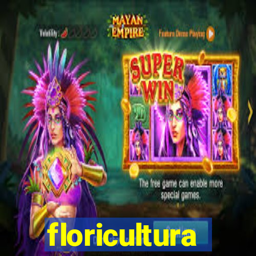 floricultura juazeiro bahia